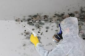 Best Attic Mold Removal  in County Center, VA